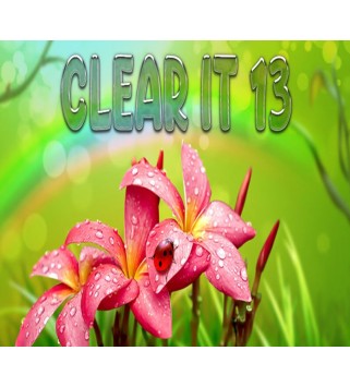 ClearIt 13 Steam Key GLOBAL